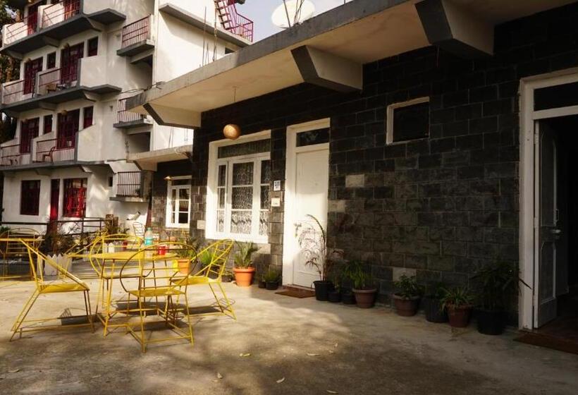 פנסיון Tripzlabs