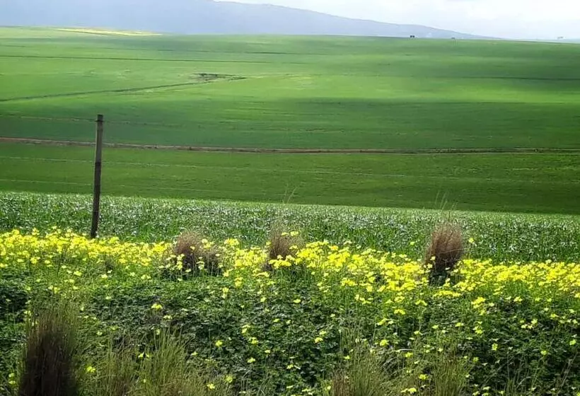 Majatalo Via S Guesthouse