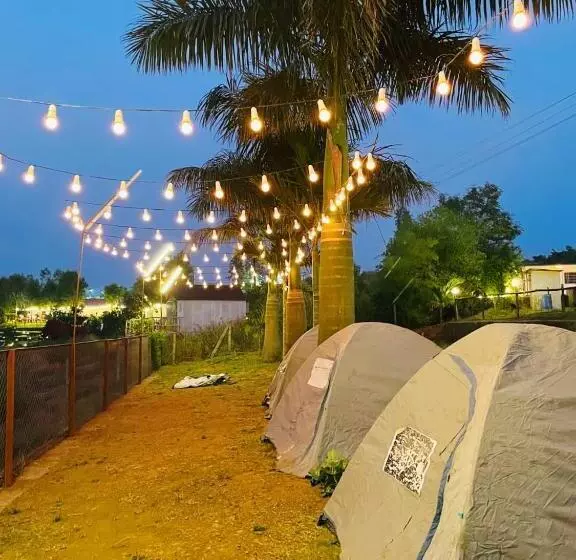 リゾートホテル Hakuna Matata Poolside Camping Pawana