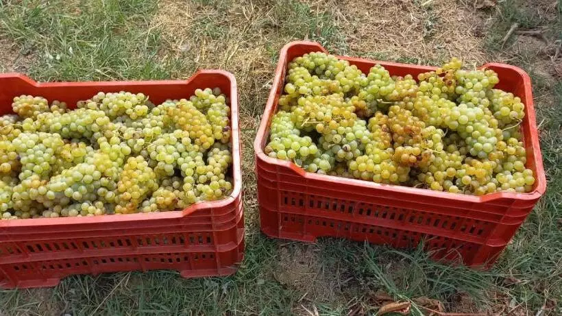 1929 Wine Food Relax Agriturismo