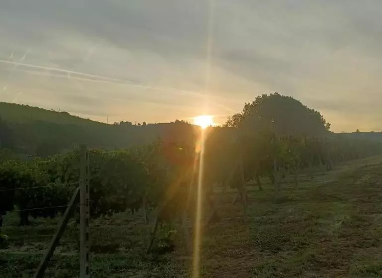 1929 Wine Food Relax Agriturismo