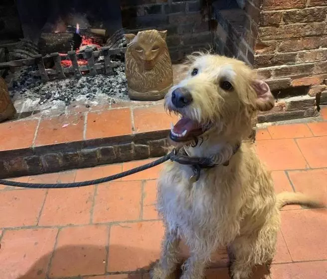 Retkeilymaja The Red Lion