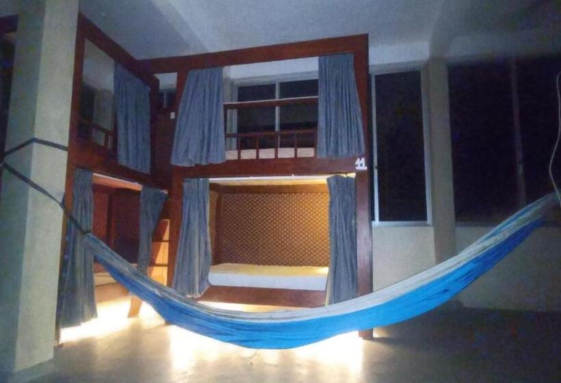 فندق صغير Yasis Surf Lodge