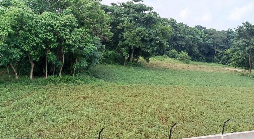 ホテル Bishnupur River Side Resort