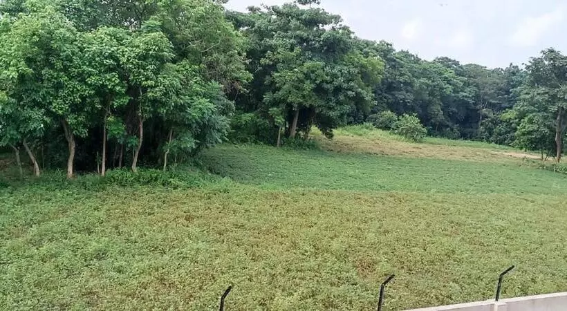 ホテル Bishnupur River Side Resort