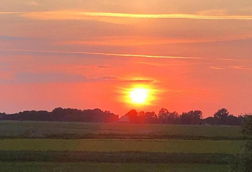 酒店 Ferienwohnung Blick Neukoog