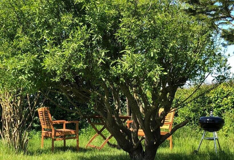 酒店 Ferienwohnung Blick Neukoog