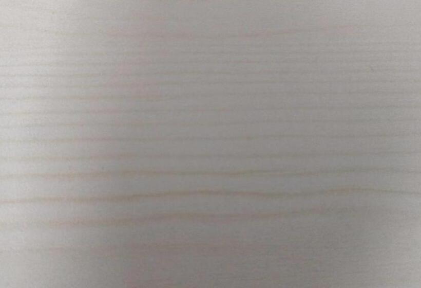 Hotel Oyo 8201 Blg Villa Guest House