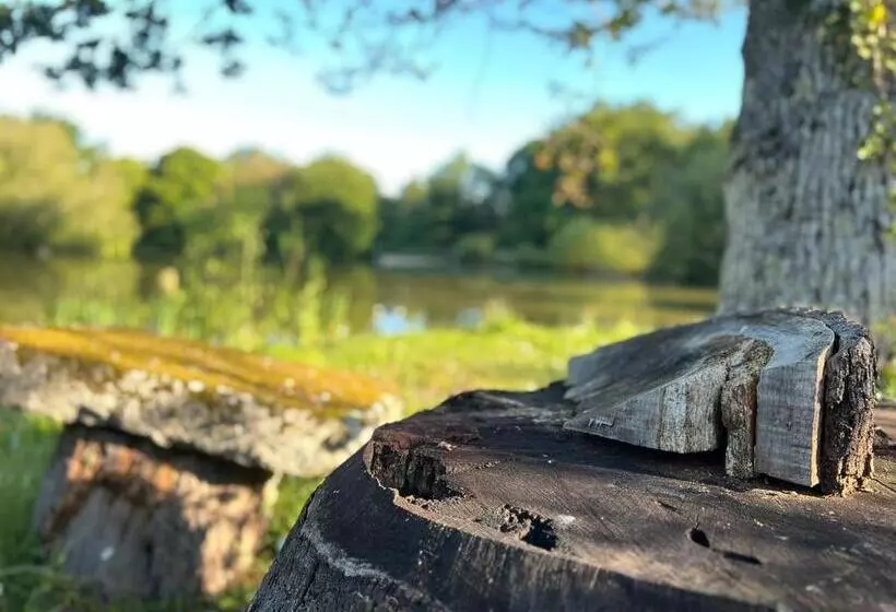 Aamiaismajoitus (B&B) Le Domaine De La Vergnolle