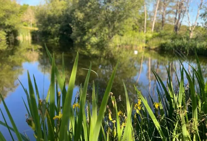 Aamiaismajoitus (B&B) Le Domaine De La Vergnolle