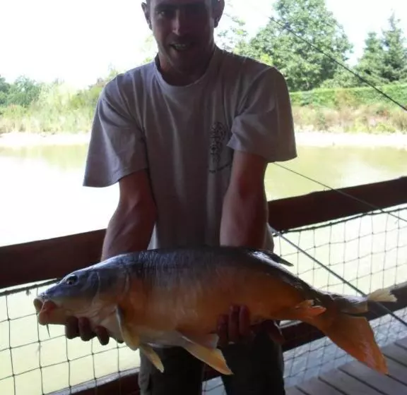 Aamiaismajoitus (B&B) Le Domaine De La Vergnolle