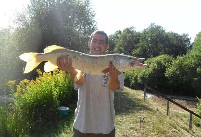 Aamiaismajoitus (B&B) Le Domaine De La Vergnolle