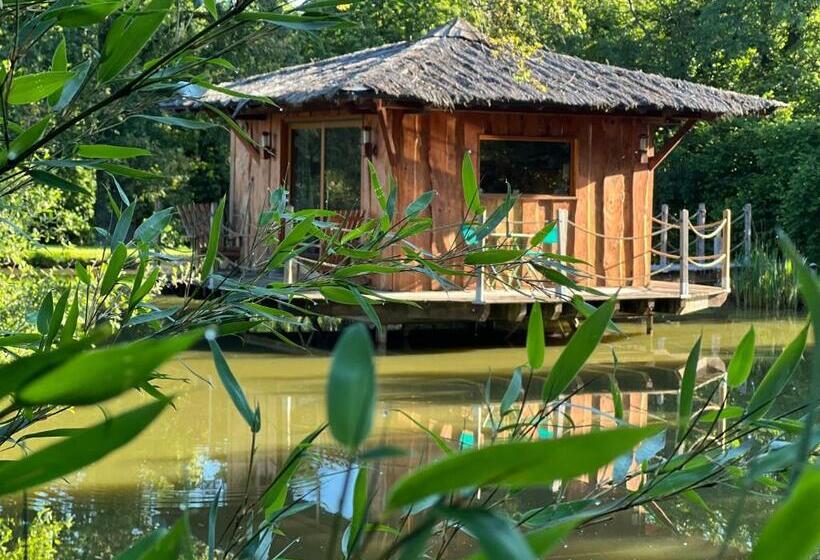 Bed and Breakfast Le Domaine De La Vergnolle