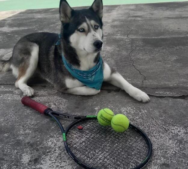 Bed & Breakfast Rey S House