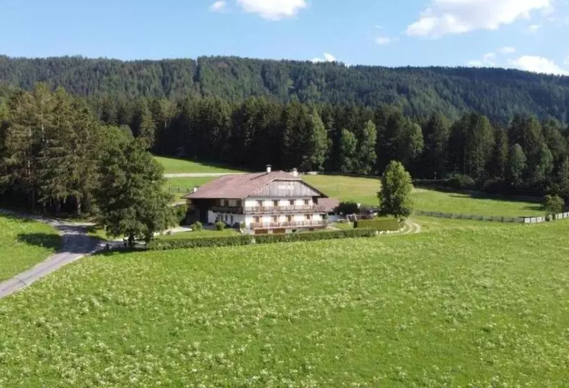 Hotelli Schöpfer Hof Urlaub Beim Biobauer