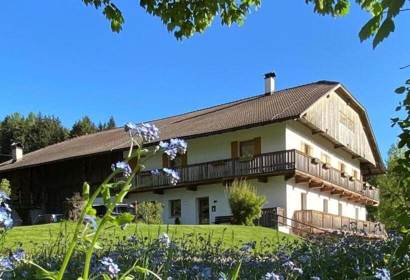 酒店 Schöpfer Hof   Urlaub Beim Biobauer