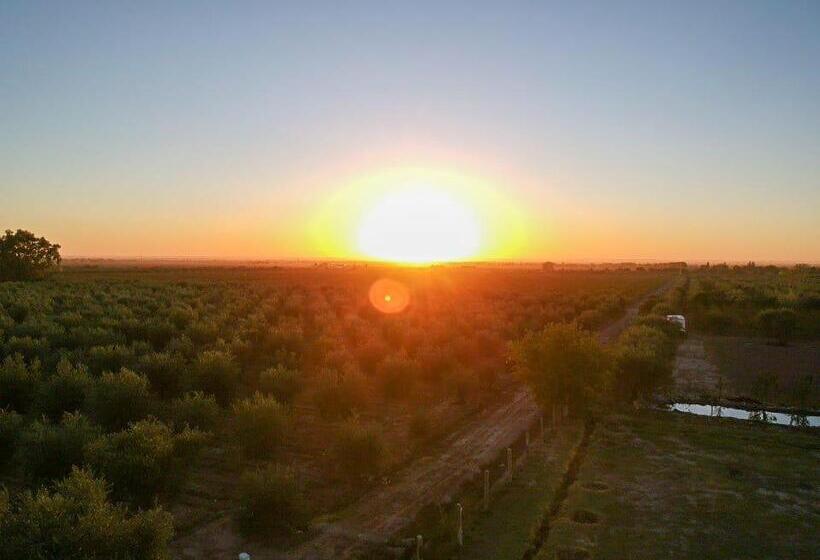 Hotel Vista Chachingo Lodge
