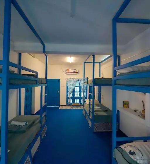 House Of Surf Hostel For Women