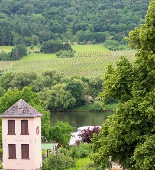 פנסיון Chateau De La Moselle