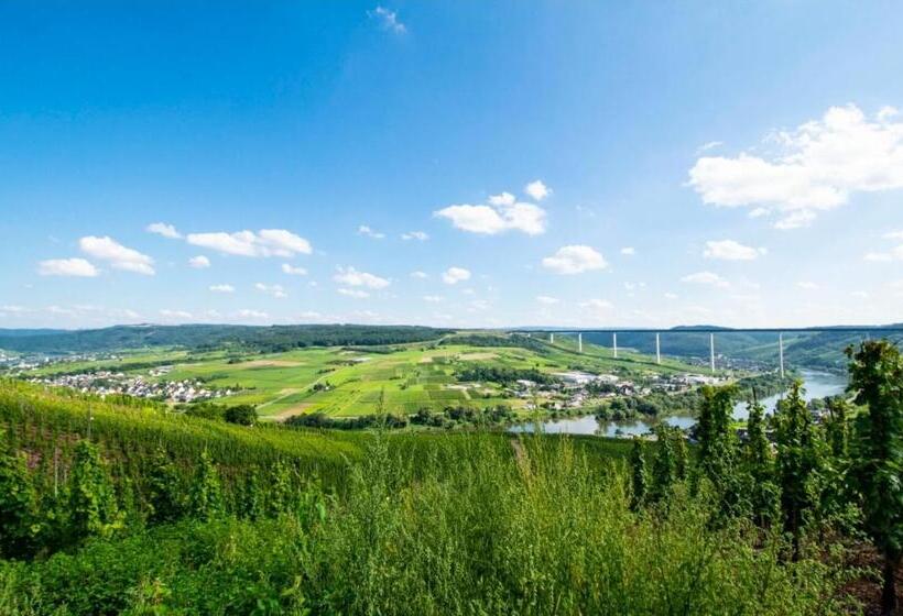 פנסיון Chateau De La Moselle