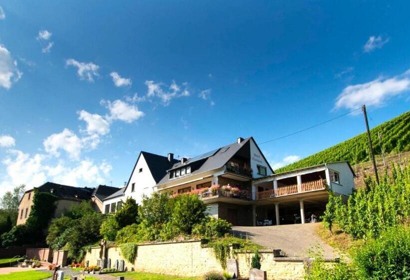 פנסיון Chateau De La Moselle