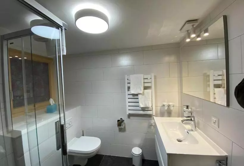 ペンション Bnb Le Mazot Fionnay