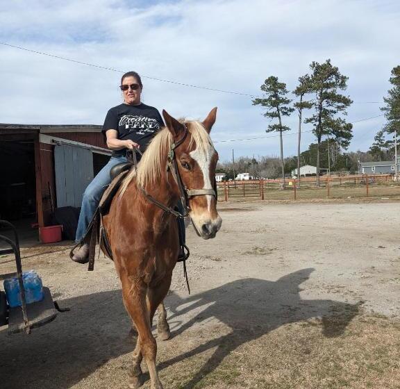 펜션 Oceanfront Get Away