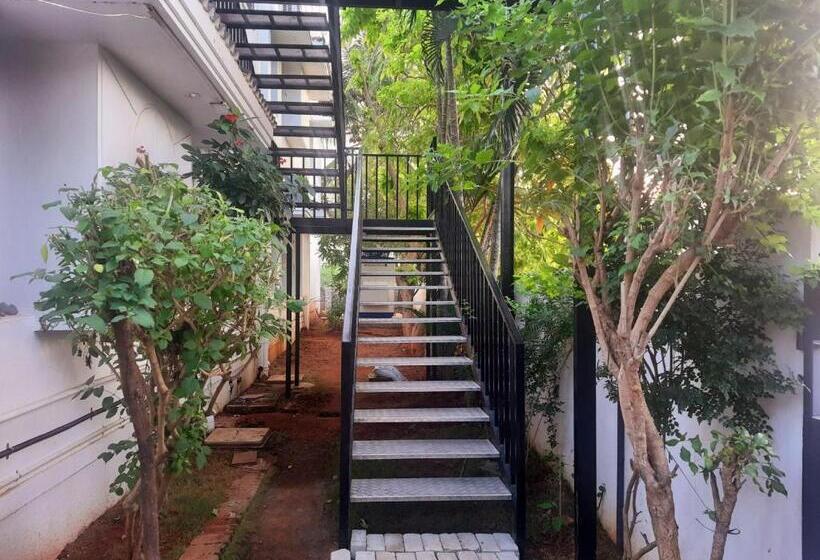 Pension Tamora By Avea