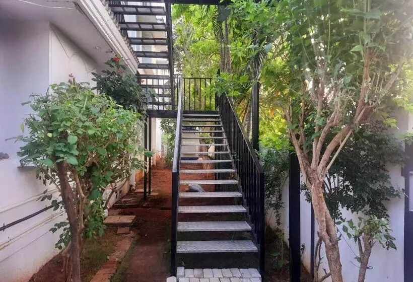 Majatalo Tamora By Avea