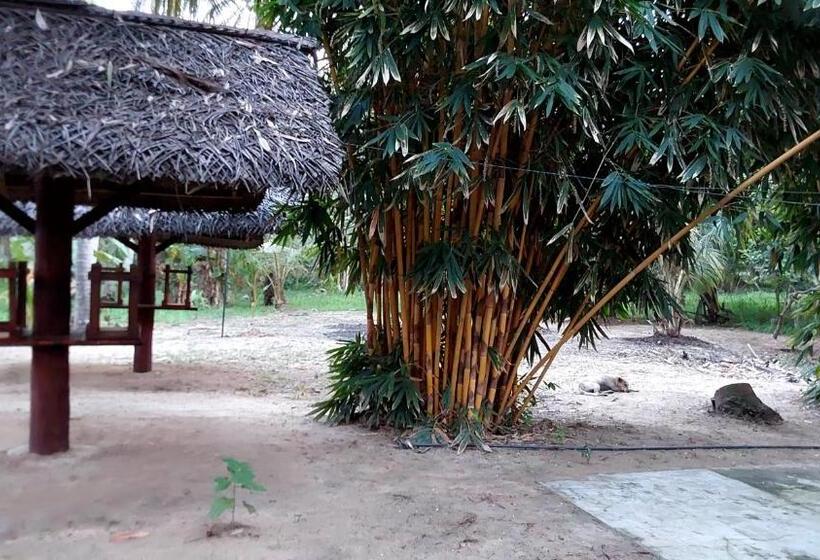 펜션 Ulpatha Eco Lodge