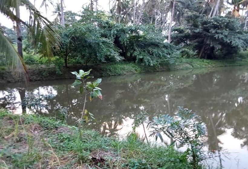 펜션 Ulpatha Eco Lodge