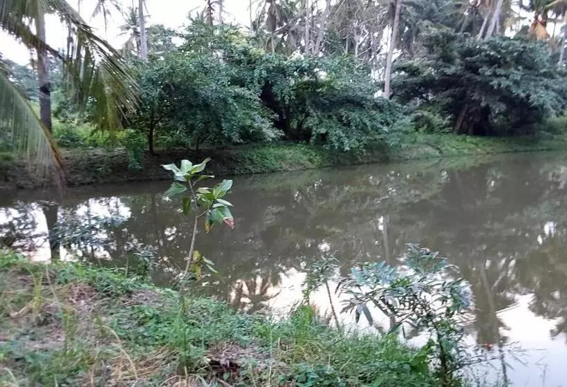 Majatalo Ulpatha Eco Lodge