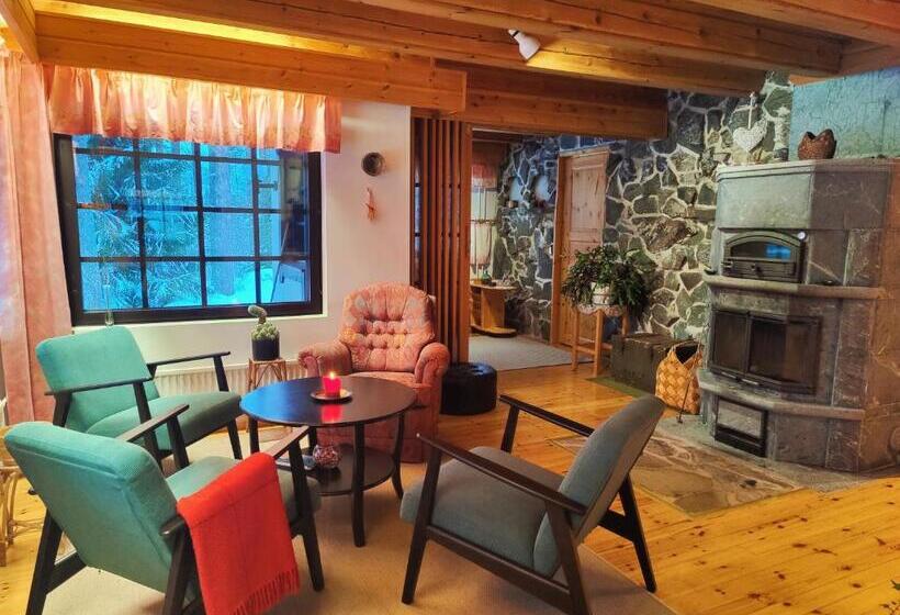 تختخواب و صبحانه Kolin Runo