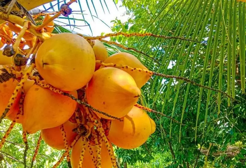 Ceylon Amigos Eco Resort