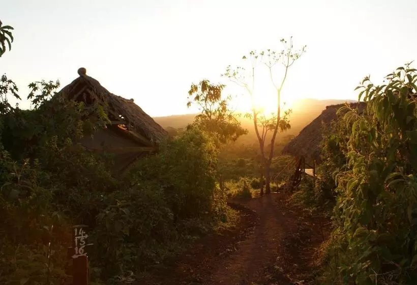 ホテル Crater Forest Tented Lodge