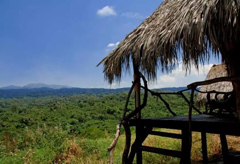 ホテル Crater Forest Tented Lodge