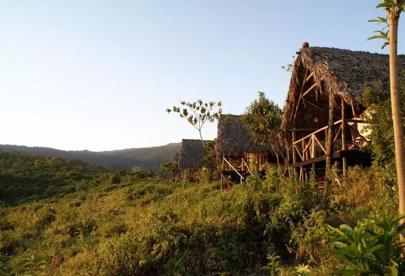 ホテル Crater Forest Tented Lodge