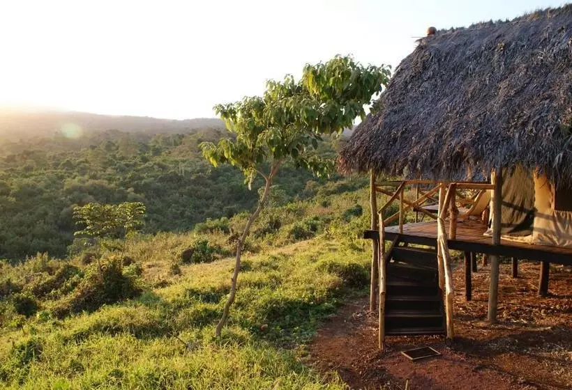 ホテル Crater Forest Tented Lodge