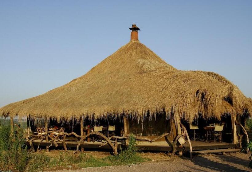هتل Crater Forest Tented Lodge