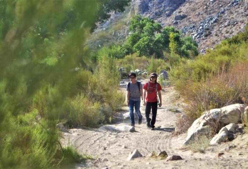 Kalanchoe Poshtel Suites