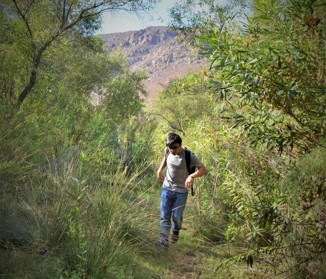 Kalanchoe Poshtel Suites