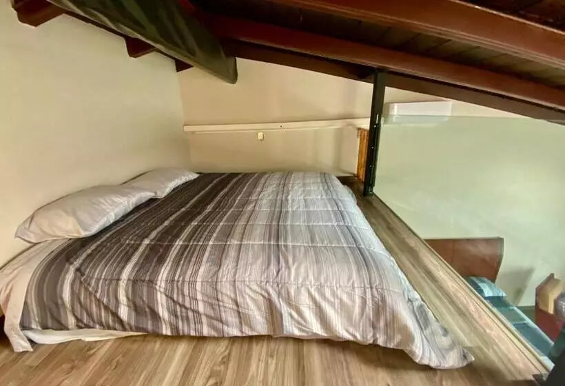 Kalanchoe Poshtel Suites