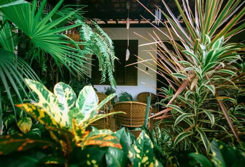 ペンション Casa De Dona Rosa
