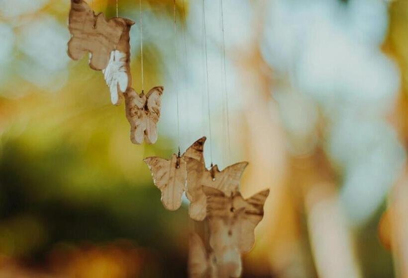 Pension Casa De Dona Rosa