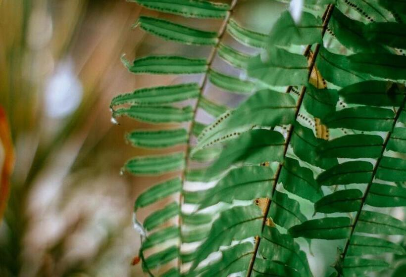 Pension Casa De Dona Rosa