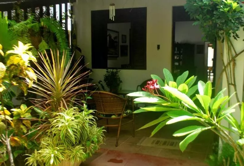 ペンション Casa De Dona Rosa