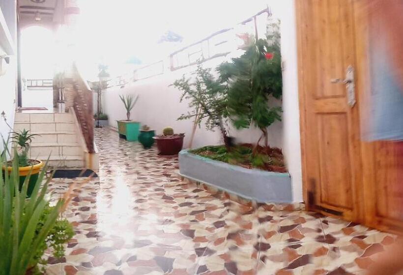 Общежитие Dawn Surf