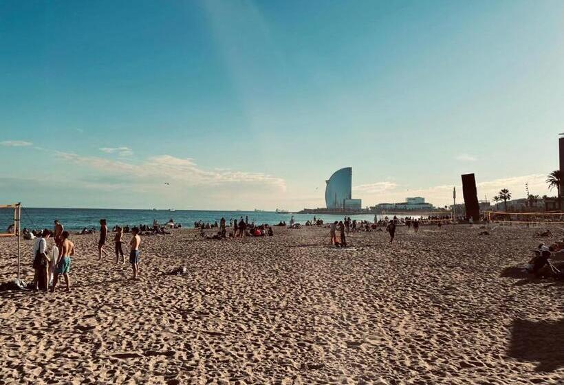 تختخواب و صبحانه Chill, Cozy Room Steps From The Shore