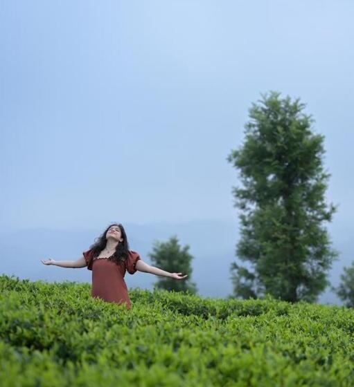 Bed and Breakfast Clouds View Nature Resort