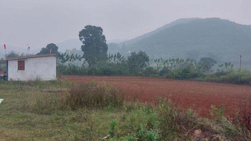 ホテル Bommarillu Farm Stay